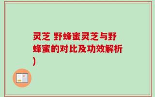 灵芝 野蜂蜜灵芝与野蜂蜜的对比及功效解析)