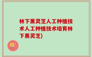 林下黑灵芝人工种植技术人工种植技术培育林下黑灵芝)