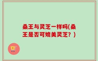 桑王与灵芝一样吗(桑王是否可媲美灵芝？)