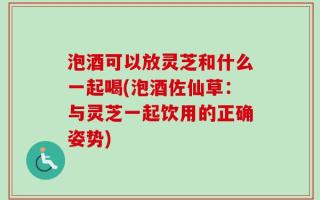 泡酒可以放灵芝和什么一起喝(泡酒佐仙草：与灵芝一起饮用的正确姿势)