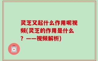 灵芝又起什么作用呢视频(灵芝的作用是什么？——视频解析)