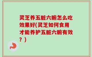 灵芝养五脏六腑怎么吃效果好(灵芝如何食用才能养护五脏六腑有效？)