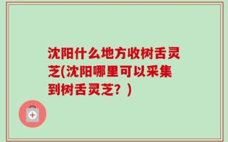 沈阳什么地方收树舌灵芝(沈阳哪里可以采集到树舌灵芝？)