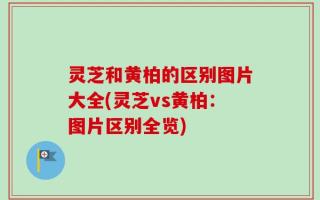 灵芝和黄柏的区别图片大全(灵芝vs黄柏：图片区别全览)