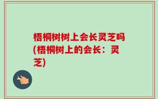 梧桐树树上会长灵芝吗(梧桐树上的会长：灵芝)
