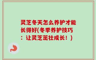 灵芝冬天怎么养护才能长得好(冬季养护技巧：让灵芝茁壮成长！)