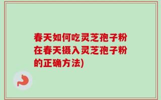 春天如何吃灵芝孢子粉在春天摄入灵芝孢子粉的正确方法)