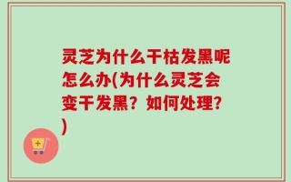 灵芝为什么干枯发黑呢怎么办(为什么灵芝会变干发黑？如何处理？)