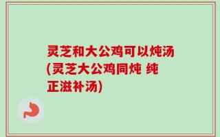 灵芝和大公鸡可以炖汤(灵芝大公鸡同炖 纯正滋补汤)