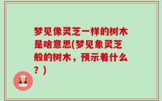 梦见像灵芝一样的树木是啥意思(梦见象灵芝般的树木，预示着什么？)