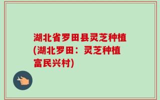 湖北省罗田县灵芝种植(湖北罗田：灵芝种植富民兴村)