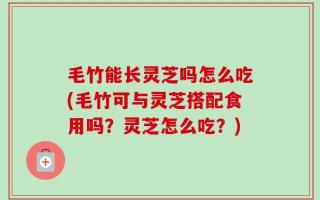 毛竹能长灵芝吗怎么吃(毛竹可与灵芝搭配食用吗？灵芝怎么吃？)