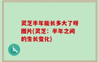 灵芝半年能长多大了呀图片(灵芝：半年之间的生长变化)