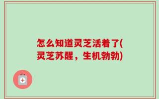 怎么知道灵芝活着了(灵芝苏醒，生机勃勃)