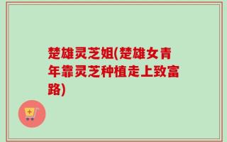 楚雄灵芝姐(楚雄女青年靠灵芝种植走上致富路)