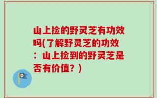 山上捡的野灵芝有功效吗(了解野灵芝的功效：山上捡到的野灵芝是否有价值？)