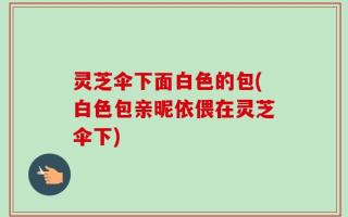 灵芝伞下面白色的包(白色包亲昵依偎在灵芝伞下)