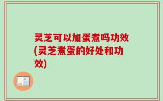 灵芝可以加蛋煮吗功效(灵芝煮蛋的好处和功效)