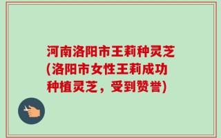 河南洛阳市王莉种灵芝(洛阳市女性王莉成功种植灵芝，受到赞誉)