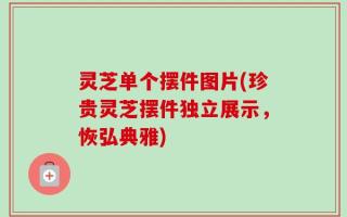 灵芝单个摆件图片(珍贵灵芝摆件独立展示，恢弘典雅)