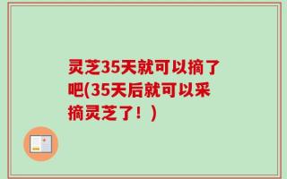 灵芝35天就可以摘了吧(35天后就可以采摘灵芝了！)