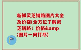 新鲜灵芝销路图片大全及价格(全方位了解灵芝销路！价格&图片一网打尽)