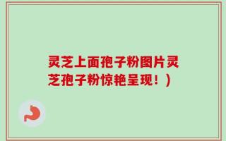 灵芝上面孢子粉图片灵芝孢子粉惊艳呈现！)