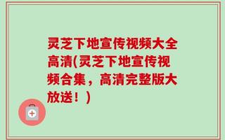 灵芝下地宣传视频大全高清(灵芝下地宣传视频合集，高清完整版大放送！)