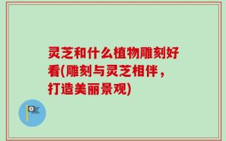 灵芝和什么植物雕刻好看(雕刻与灵芝相伴，打造美丽景观)