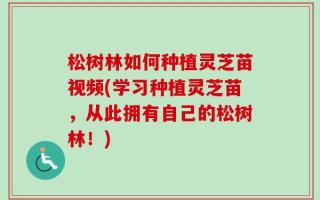 松树林如何种植灵芝苗视频(学习种植灵芝苗，从此拥有自己的松树林！)