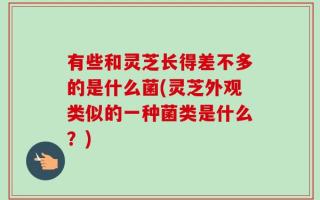 有些和灵芝长得差不多的是什么菌(灵芝外观类似的一种菌类是什么？)
