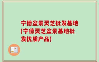 宁德盆景灵芝批发基地(宁德灵芝盆景基地批发优质产品)