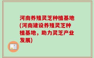 河南养殖灵芝种植基地(河南建设养殖灵芝种植基地，助力灵芝产业发展)
