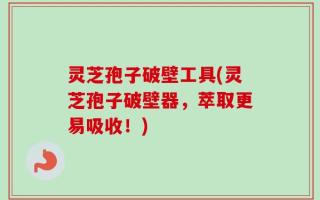 灵芝孢子破壁工具(灵芝孢子破壁器，萃取更易吸收！)