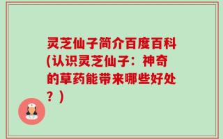 灵芝仙子简介百度百科(认识灵芝仙子：神奇的草药能带来哪些好处？)