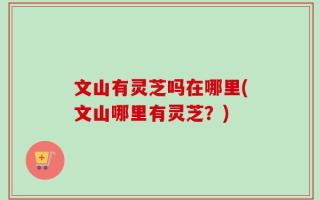 文山有灵芝吗在哪里(文山哪里有灵芝？)