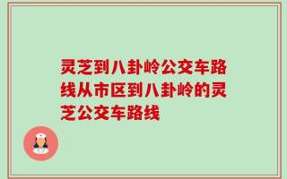 灵芝到八卦岭公交车路线从市区到八卦岭的灵芝公交车路线