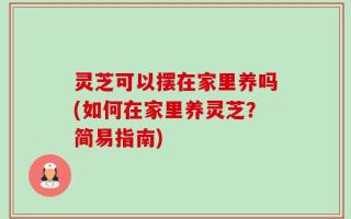 灵芝可以摆在家里养吗(如何在家里养灵芝？简易指南)