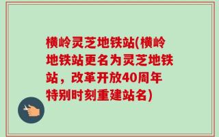横岭灵芝地铁站(横岭地铁站更名为灵芝地铁站，改革开放40周年特别时刻重建站名)