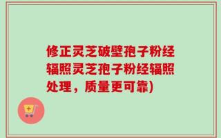 修正灵芝破壁孢子粉经辐照灵芝孢子粉经辐照处理，质量更可靠)