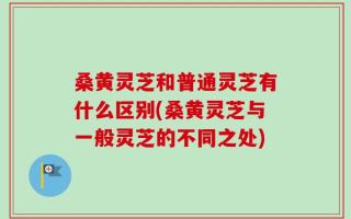 桑黄灵芝和普通灵芝有什么区别(桑黄灵芝与一般灵芝的不同之处)
