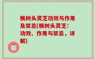 枫树头灵芝功效与作用及禁忌(枫树头灵芝：功效、作用与禁忌，详解)