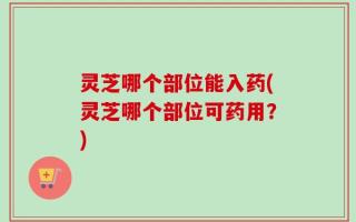 灵芝哪个部位能入药(灵芝哪个部位可药用？)
