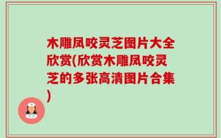 木雕凤咬灵芝图片大全欣赏(欣赏木雕凤咬灵芝的多张高清图片合集)