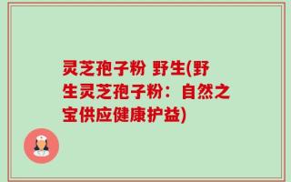 灵芝孢子粉 野生(野生灵芝孢子粉：自然之宝供应健康护益)