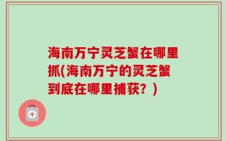 海南万宁灵芝蟹在哪里抓(海南万宁的灵芝蟹到底在哪里捕获？)