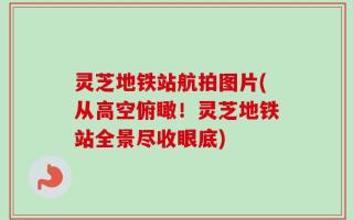 灵芝地铁站航拍图片(从高空俯瞰！灵芝地铁站全景尽收眼底)
