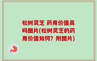 松树灵芝 药用价值高吗图片(松树灵芝的药用价值如何？附图片)