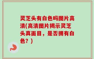 灵芝头有白色吗图片高清(高清图片揭示灵芝头真面目，是否拥有白色？)