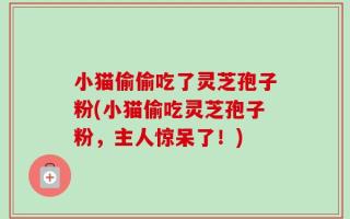 小猫偷偷吃了灵芝孢子粉(小猫偷吃灵芝孢子粉，主人惊呆了！)